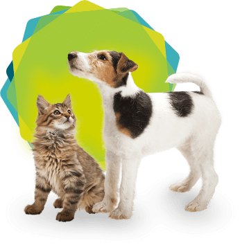 Extension de garantie Ioupsi & Joke pour chiots et chatons