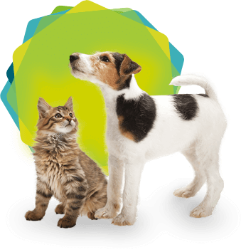 Extension de garantie Ioupsi & Joke pour chiots et chatons