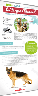 Planète chien et chat - fiche détaillée sur le Berger Allemand